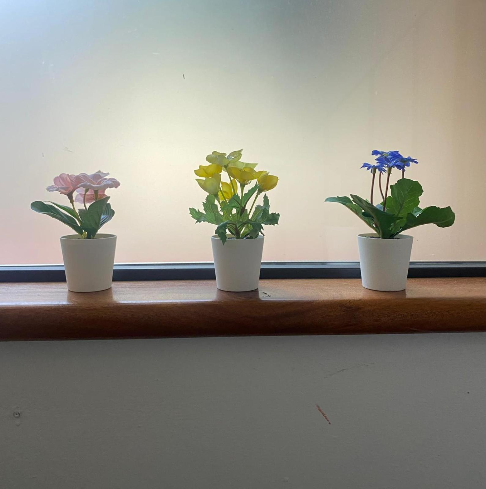 Appartamento Indipendente Con Giardino Fralu 佛罗伦萨 外观 照片